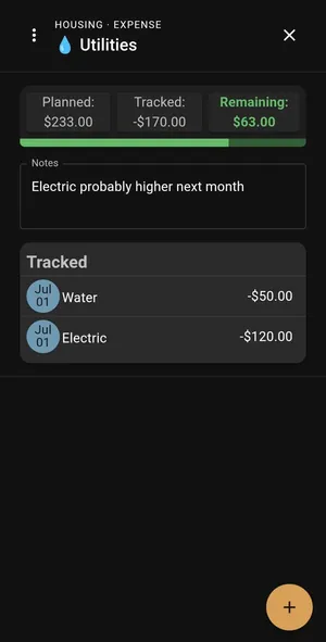 Viewing an expense category with budgeted, spent, and remaining amounts